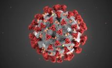 Quasi raddoppiati rispetto a ieri i nuovi positivi: +444. Parma ha superato i 100 mila casi di covid dall'inizio della pandemia. Tre decessi. Rezza: "In Italia dati in  risalita, circolazione del virus alta. Prudenza"