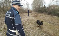 Parco Ducale e Parco Nord: il cane Victor aiuta a scovare mezzo chilo  di hashish, tra panetti e dosi pronte