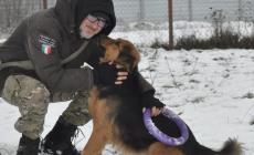 Andrea, l'italiano bloccato a Kiev, allo stremo coi suoi animali
