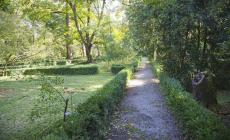 Interno verde cerca giovani volontari amanti dei giardini