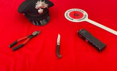 Ruba, minaccia la vigilanza con il taser e fugge. Bloccato ed arrestato dai carabinieri   