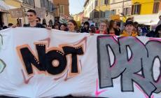 "Fridays for Future": studenti e studentesse sono tornati in piazza per il pianeta - Video