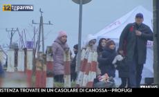  1176 profughi ucraini a Parma, quasi la metà sono minori - Video