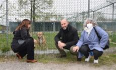 Al via la riqualificazione complessiva degli alloggi per gli animali negli spazi del Polo d'affezione - Video