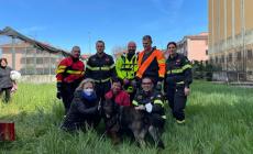 Il salvataggio di un cane finito nel canale di bonifica e trascinato per un chilometro - Video