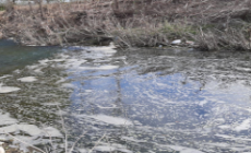 Schiuma nella Parma, l'Arpae: "E' un fenomeno naturale"