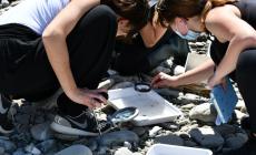  Il biodiversity lab di Esperta nel progetto di formazione sulla sostenibilità per i giovani