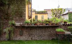 Quaranta giardini per Interno Verde: iscrizioni online o in Cittadella