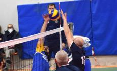 A Parma la qualificazione per la fase finale del Campionato di sitting volley. Anche la Cedacri in gara
