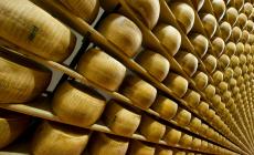 Parmigiano Reggiano, in crescita il primo trimestre: +3,9%