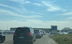 Cibus, seconda giornata: boom di visitatori, traffico intenso sulla complanare e nelle strade attorno alle Fiere