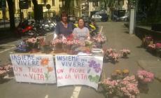 Vendita benefica  dei fiori ... con polemica 
