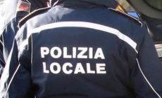 Ruba una spesa da 100 euro in un negozio di via Venezia e poi fugge:  fermata e denunciata per tentata rapina 