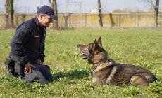 Trovato morto nel pozzo: è stato il cane Bayla a portare i carabinieri sul posto
