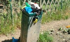 Sportivi e amici a 4 zampe, "che sete al parco Ducale" - Foto
