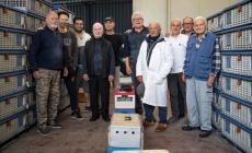 Colombofili e Arci Post: dove volano i colombi