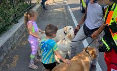 Auto contro un muro: a bordo c'erano due bambini.  "Curati" sul posto  dalla dog therapy di un'operatrice del 118 che si trovava nei paraggi