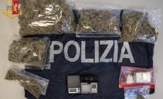 Dall'appartamento odore di cannabis in tutto il condominio:  dentro quasi mezzo chilo di droga e tanto denaro, due giovani arrestati