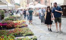 Domenica ritorna la tradizione «Festa dei Fiori»