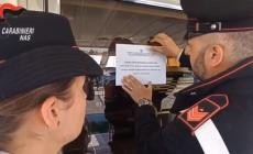 Odontoiatra abusivo è sotto inchiesta a Torino, sequestrato il suo yacht