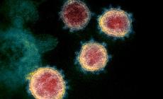Covid, tre decessi a Parma e provincia (21 in regione). I nuovi casi sono 141 (1.616 in Emilia Romagna)