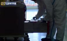 Ricoveri Covid, Meschi: "I numeri sono tranquillizzanti. Ma sì alla mascherina in luoghi affollati" - Video