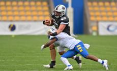 I Panthers battono i Mastini e vanno in semifinale 