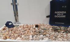 Spiagge sarde depredate: 250kg di sabbia (rubati) tornano a Is Arutas