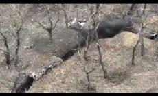 Il soldato ucraino in trincea resiste agli attacchi dei russi con le granate - Video 