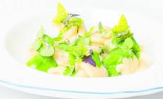 Trottole di Gragnano basilico e siero di Parmigiano