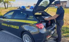 Cisterna abusiva di carburante agricolo nascosta nell'area di un'azienda fidentina: sequestro e denuncia