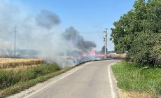 Sterpaglie a fuoco sul bordo della strada a Stagno di Roccabianca