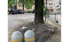 "Via Navetta: dopo un mese e due segnalazioni, i rami caduti sono ancora l&igrave;"
