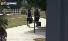 Mercato Parma: Francesco Forte un nome per l'attacco - Video