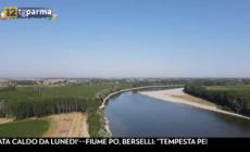 Siccità, la situazione in Emilia Romagna, video: la Regione e l'Autorità di distretto Po 