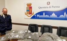 Nascondeva in un garage di viale Piacenza 10 chili e mezzo di marijuana: arrestato un albanese