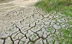 L'Organizzazione metereologica mondiale: "Il 2022 è stato l'anno più caldo della storia in  Italia da quando ci sono le rilevazioni scientifiche"