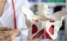 Riabilitazione del pavimento pelvico: quando è indicata?