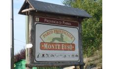 Un parco avventure sul Monte Fuso: quattro percorsi acrobatici per adulti e bambini