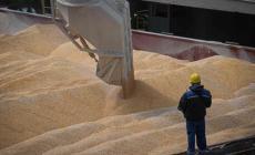 Il grano ucraino partir&agrave; dal mare Adriatico. Zelensky: "Intesa per l'export dai porti della Croazia"