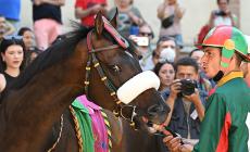 Palio Siena: vince il Drago al fotofinish sulla  Torre - Foto