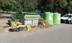 Via Valenti, "Cittadini maleducati e mancate svuotare dei cassonetti: ecco il nostro panorama" - Foto
