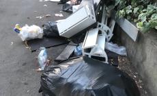 Viale Piacenza, "A tre settimane dalla prima segnalazione aumentano i rifiuti e i topi" - Foto