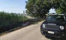 L'incendio doloso rischia di far perdere l'intero raccolto a un agricoltore: individuato il piromane, è un 69enne della zona