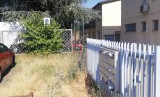 "Foresta amazzonica? No, parcheggio di viale Villetta"