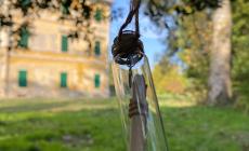  Domani  caccia al tesoro nel bosco, in versione notturna