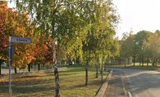 Rissa tra giovani a Baganzola a mezzanotte con due feriti: uno &egrave; di media gravit&agrave;