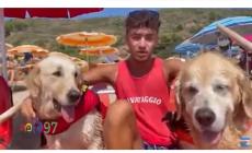 Affonda pedalò a Palinuro: due cani bagnino salvano cinque ragazzi - Video 