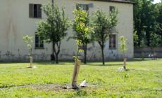 KilometroVerdeParma: opportunità formative per i più giovani nel campo dei "green job"