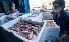 Stop al pesce fresco, scatta il fermo sull'Adriatico